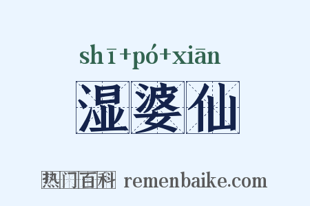 湿婆仙是什么意思的图片